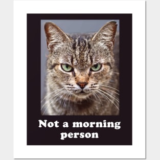 Not a Morning Person Grumpy Kitty for Men & Women Posters and Art